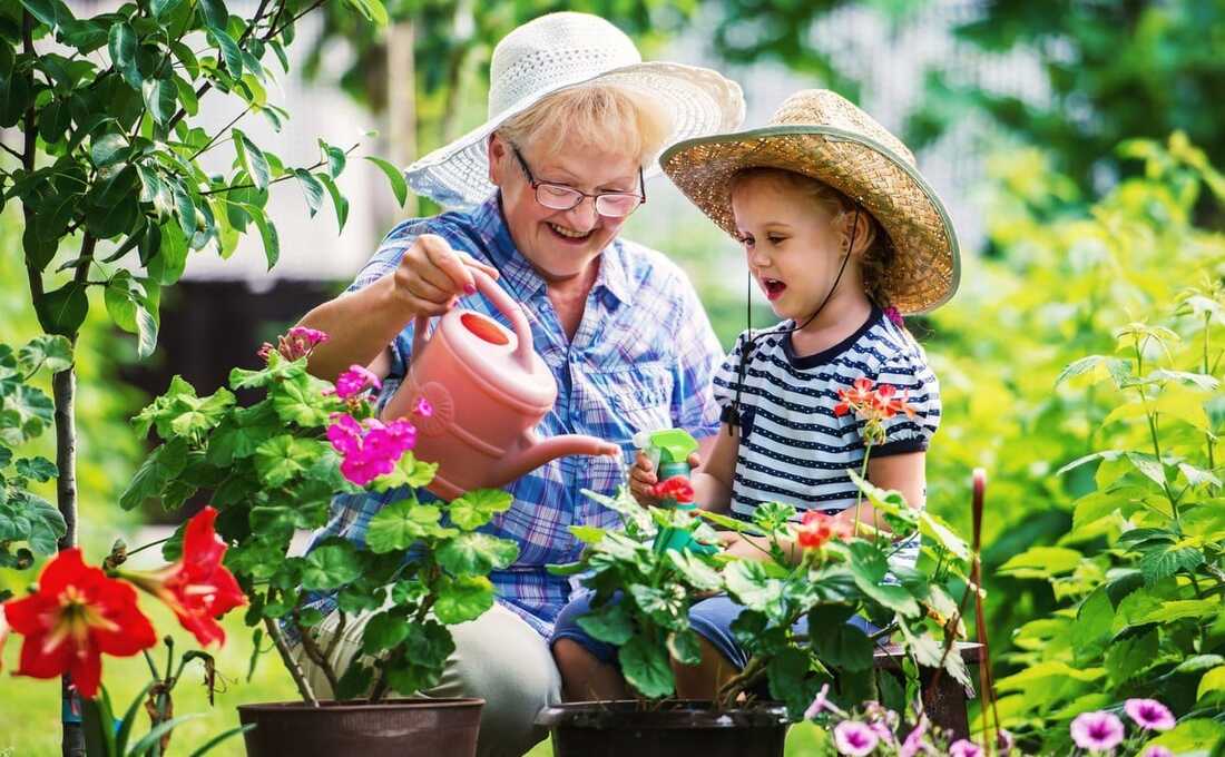 Caregiver and client gardening together